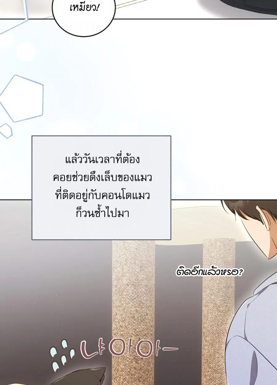 Cat Therapy – ปะปี๊เสพติดเหมียว! ตอนที่ 8 — page 24 of 90