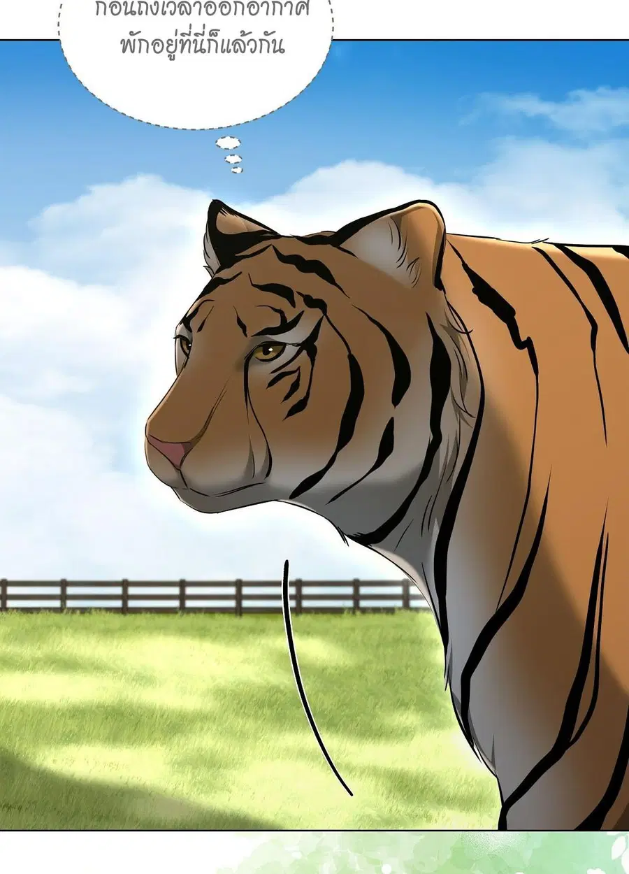 Cat Therapy – ปะปี๊เสพติดเหมียว! ตอนที่ 12 — page 42 of 84