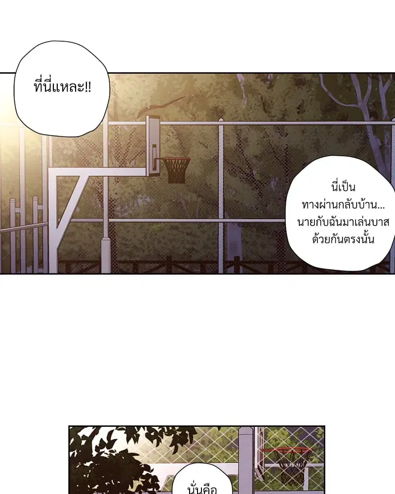 4 Week Lovers ตอนที่ 101 — page 38 of 53