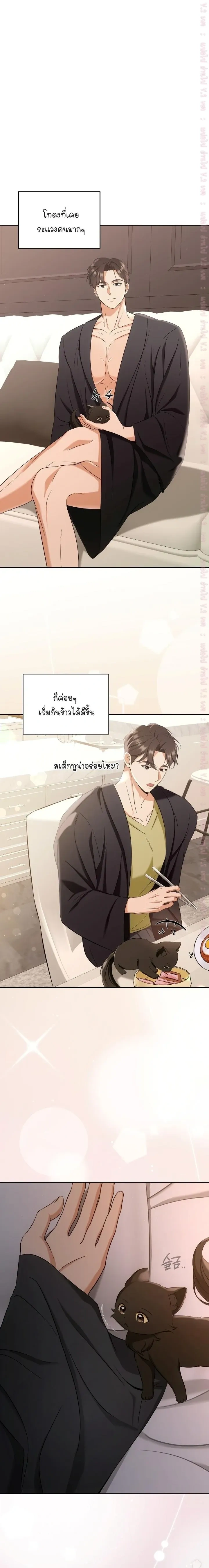 Cat Therapy Love – แมวบำบัดรัก ตอนที่ 2 — page 10 of 21