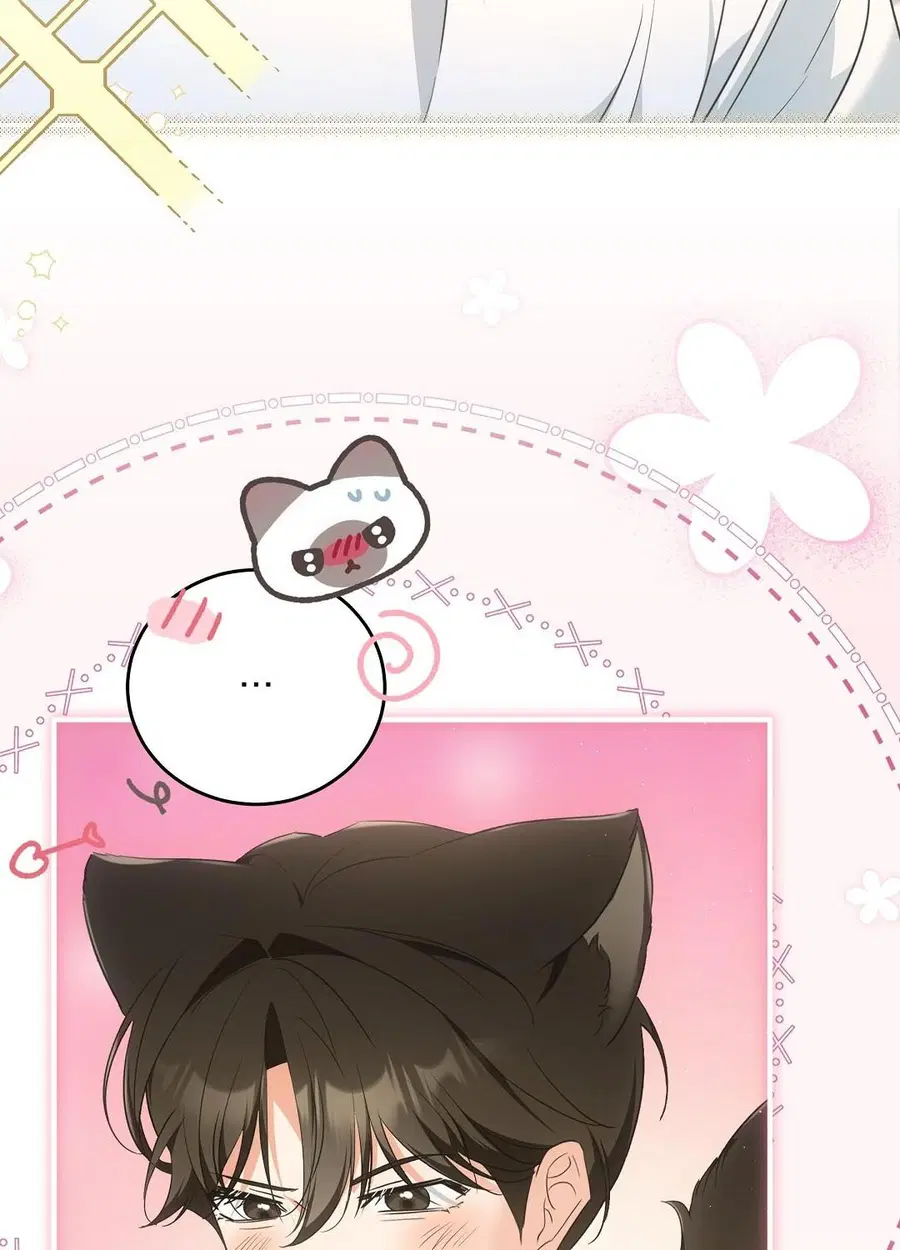 Cat Therapy – ปะปี๊เสพติดเหมียว! ตอนที่ 9 — page 92 of 98