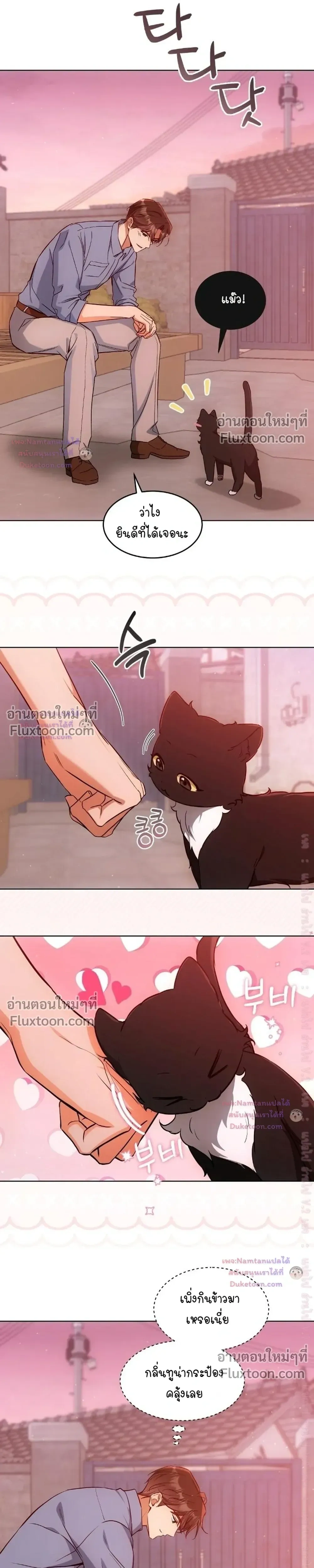 Cat Therapy – ปะปี๊เสพติดเหมียว! ตอนที่ 32 — page 4 of 23