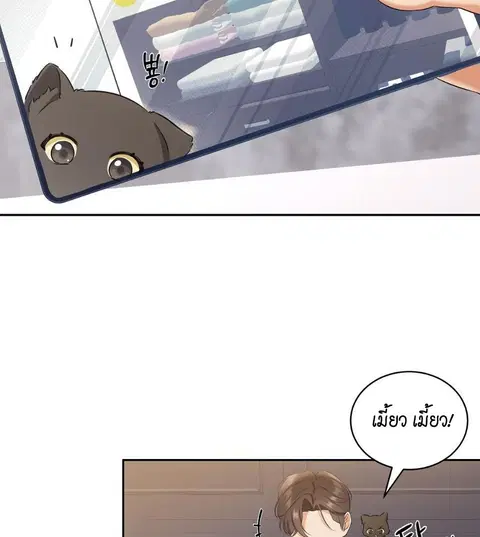 Cat Therapy – ปะปี๊เสพติดเหมียว! ตอนที่ 2 — page 100 of 127