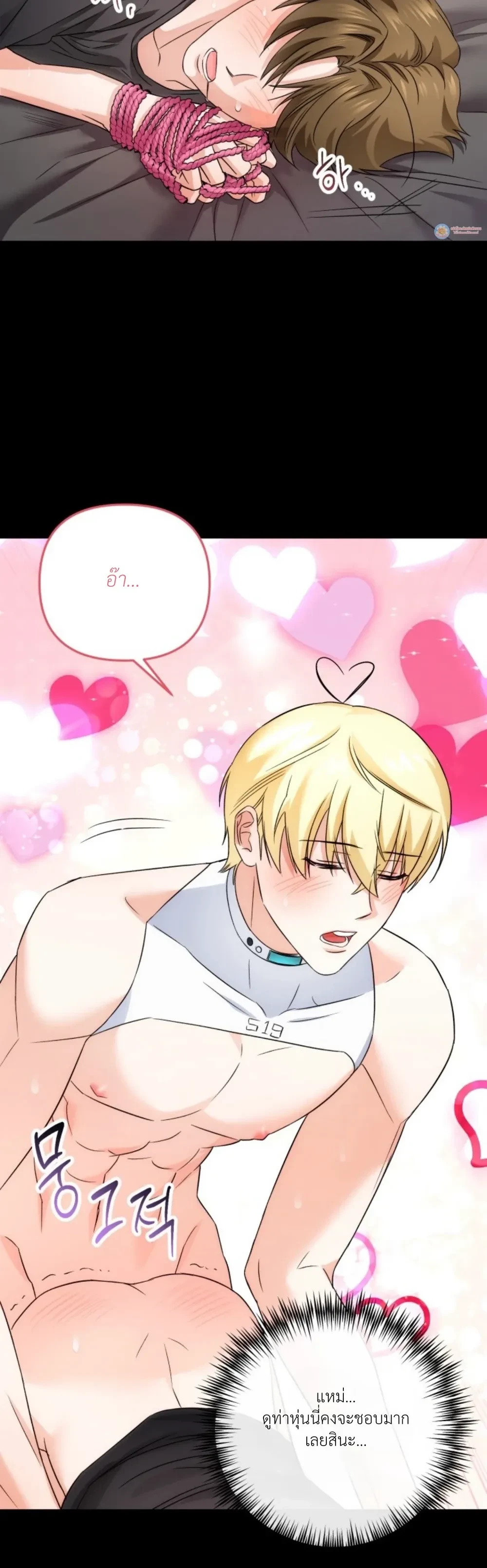 Sex and Presentation – เรื่องเพศกับการนำเสนอ ตอนที่ 2 — page 17 of 22