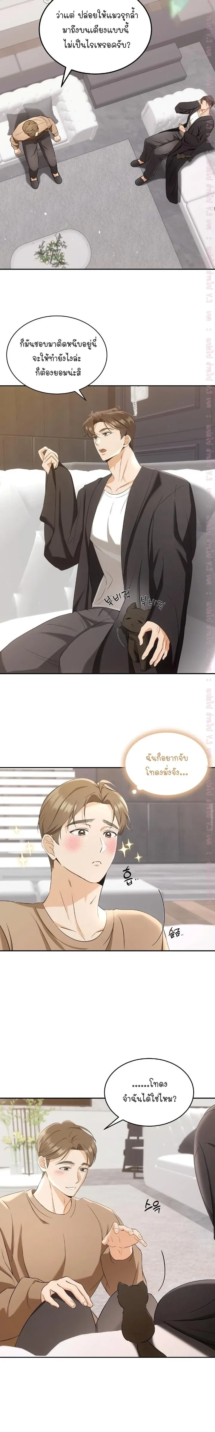 Cat Therapy Love – แมวบำบัดรัก ตอนที่ 2 — page 12 of 21