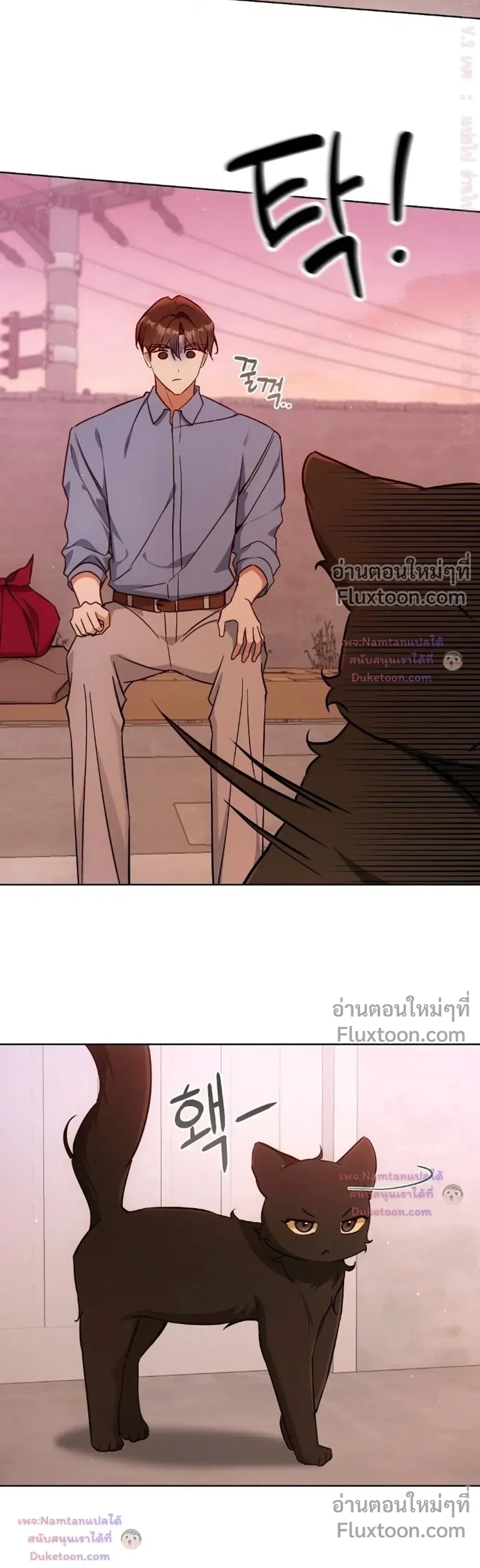 Cat Therapy – ปะปี๊เสพติดเหมียว! ตอนที่ 32 — page 21 of 23