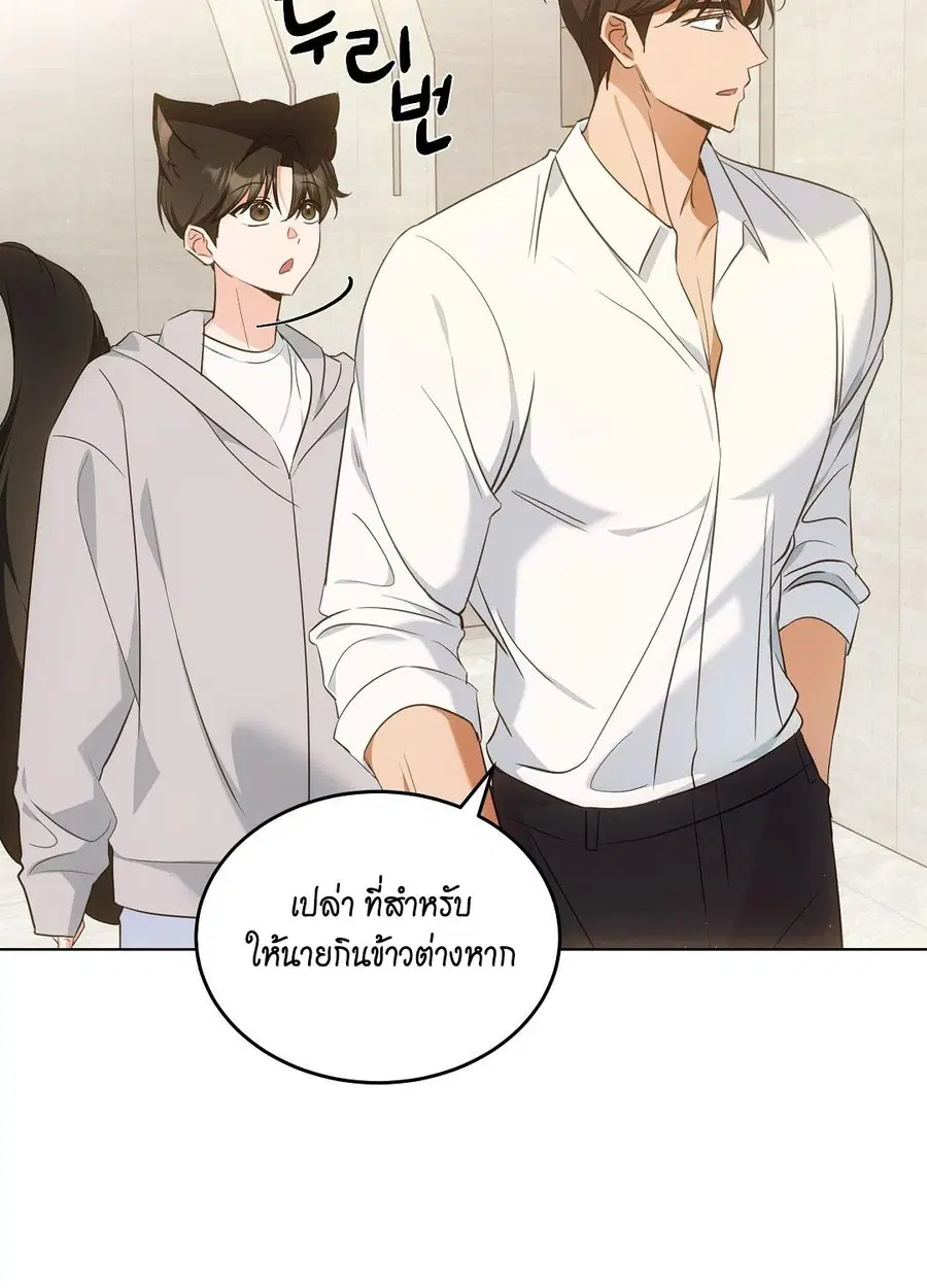 Cat Therapy – ปะปี๊เสพติดเหมียว! ตอนที่ 9 — page 27 of 98