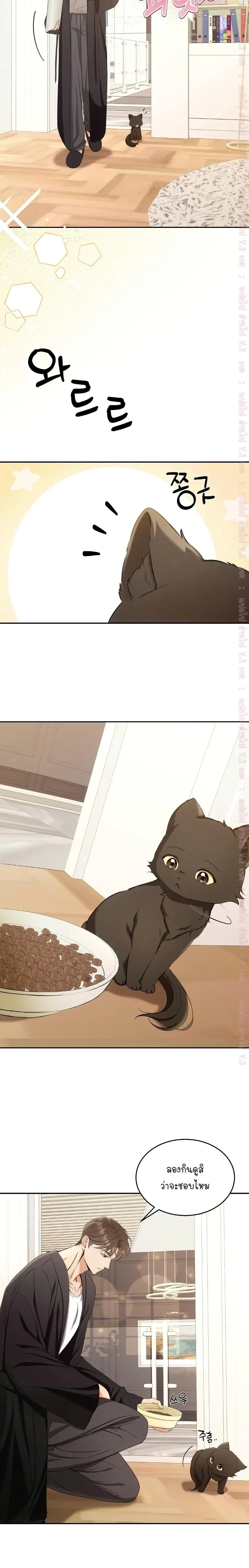 Cat Therapy Love – แมวบำบัดรัก ตอนที่ 2 — page 2 of 21