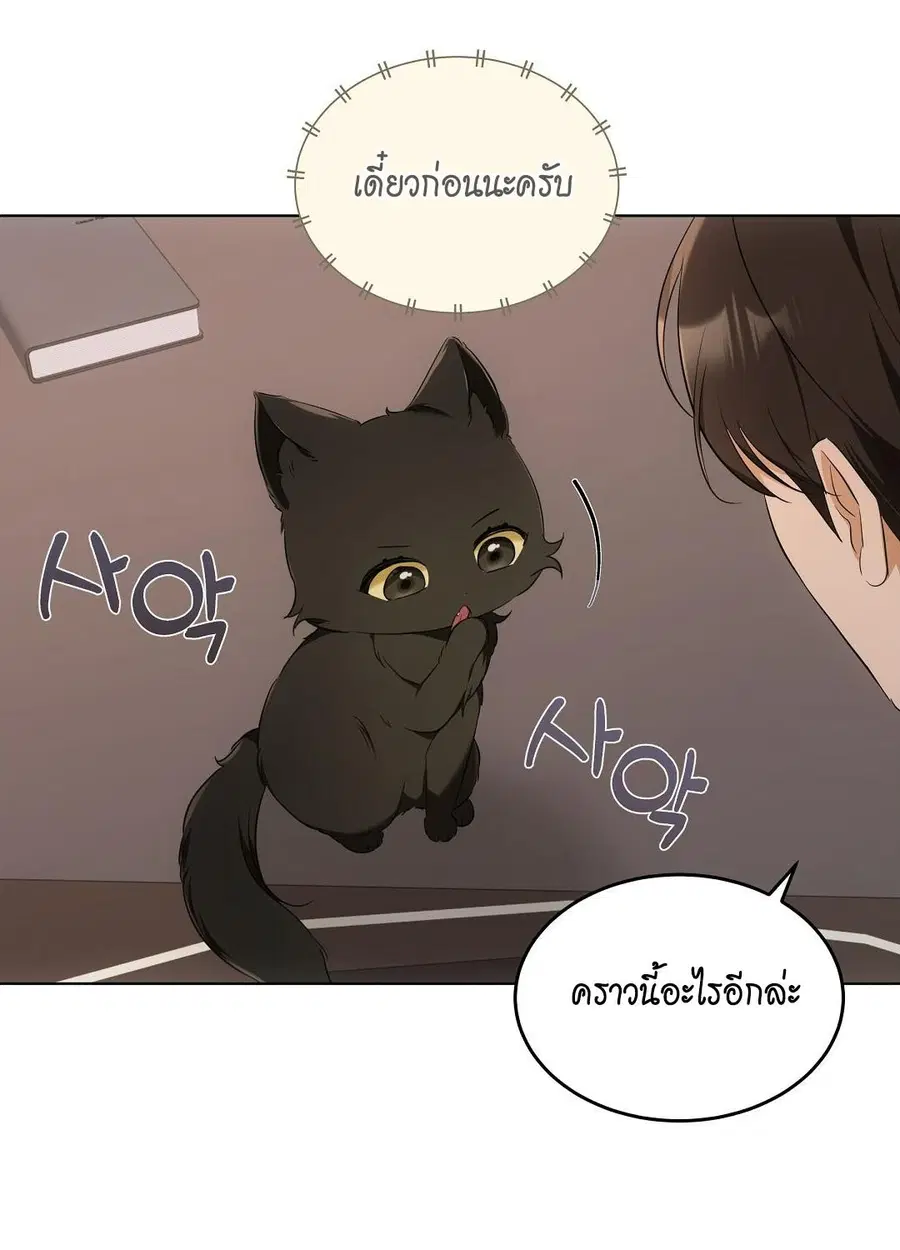 Cat Therapy – ปะปี๊เสพติดเหมียว! ตอนที่ 10 — page 35 of 88