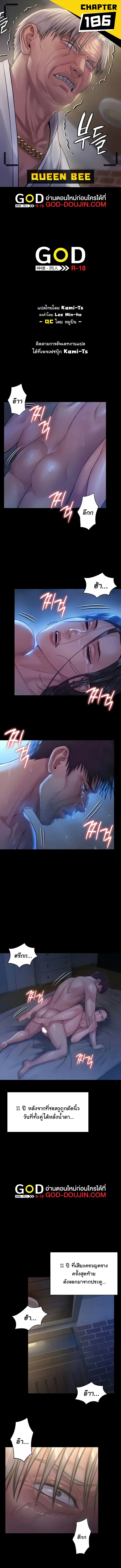 Queen Bee ตอนที่ 186 — page 1 of 7