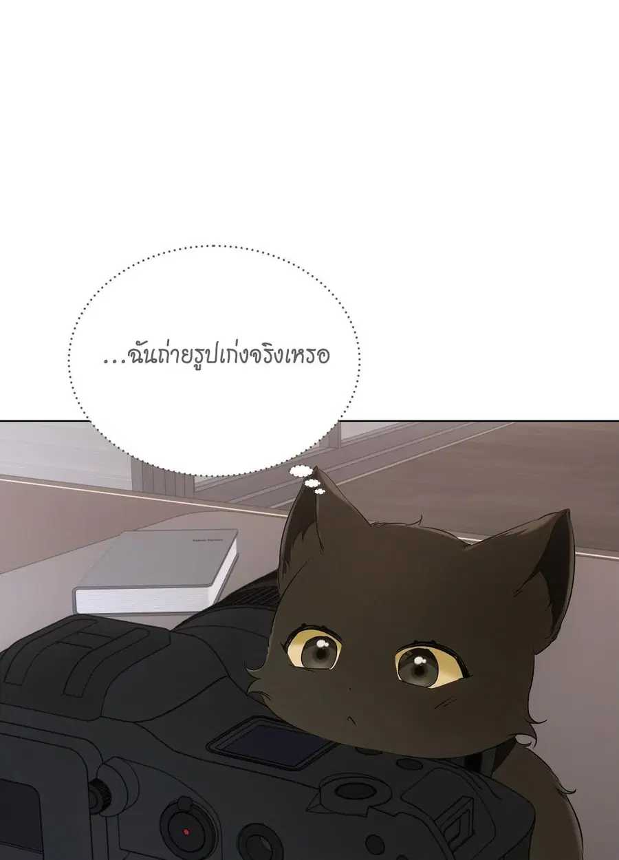 Cat Therapy – ปะปี๊เสพติดเหมียว! ตอนที่ 10 — page 65 of 88