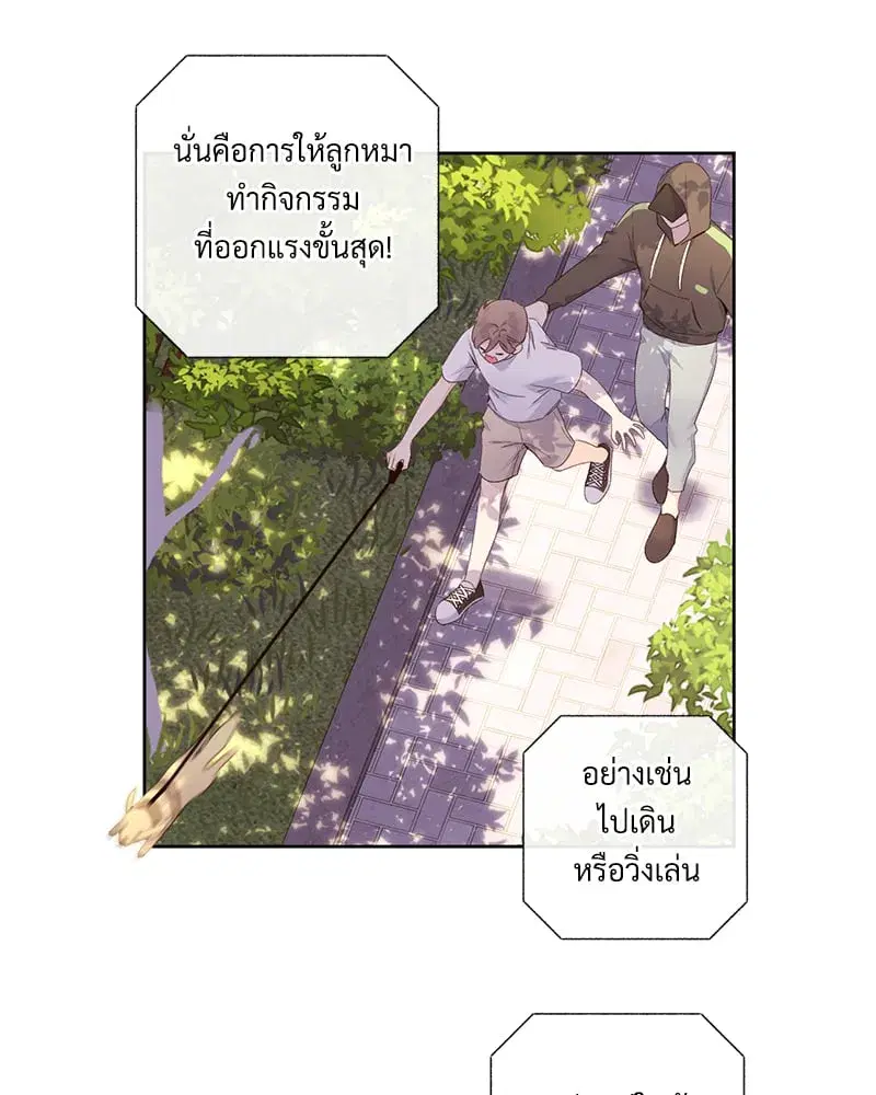 4 Week Lovers ตอนที่ 99 — page 15 of 54