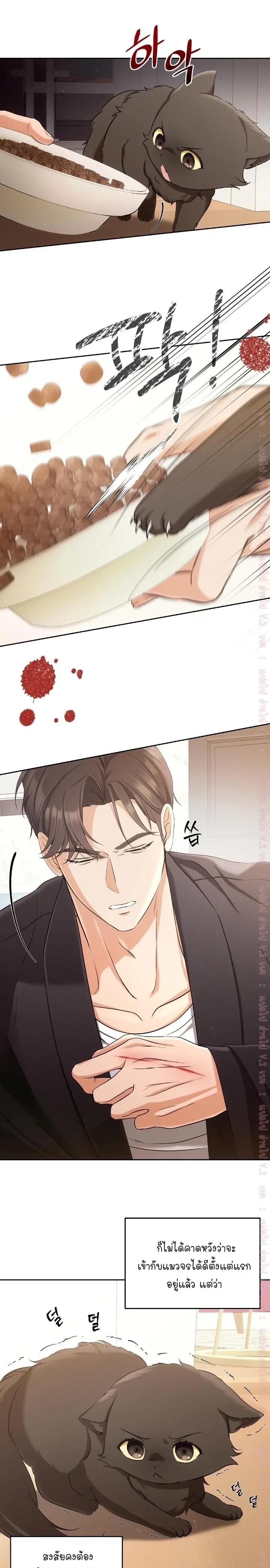 Cat Therapy Love – แมวบำบัดรัก ตอนที่ 2 — page 3 of 21