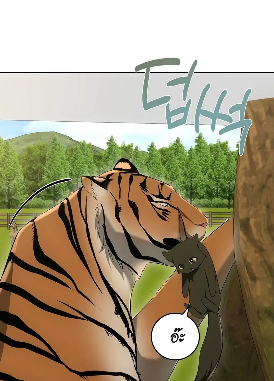 Cat Therapy – ปะปี๊เสพติดเหมียว! ตอนที่ 12 — page 54 of 84