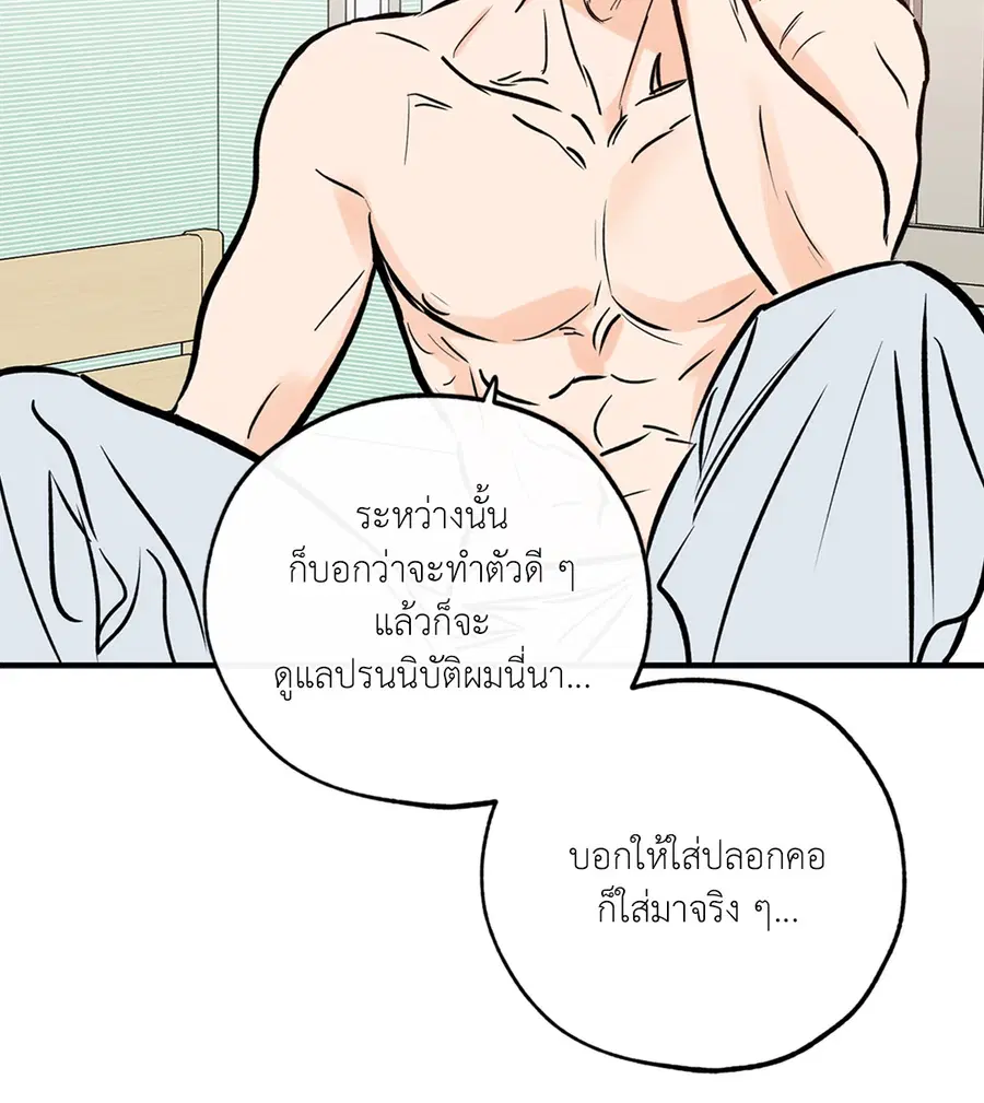 Lucky Paradise ตอนที่ 81.03 — page 41 of 53
