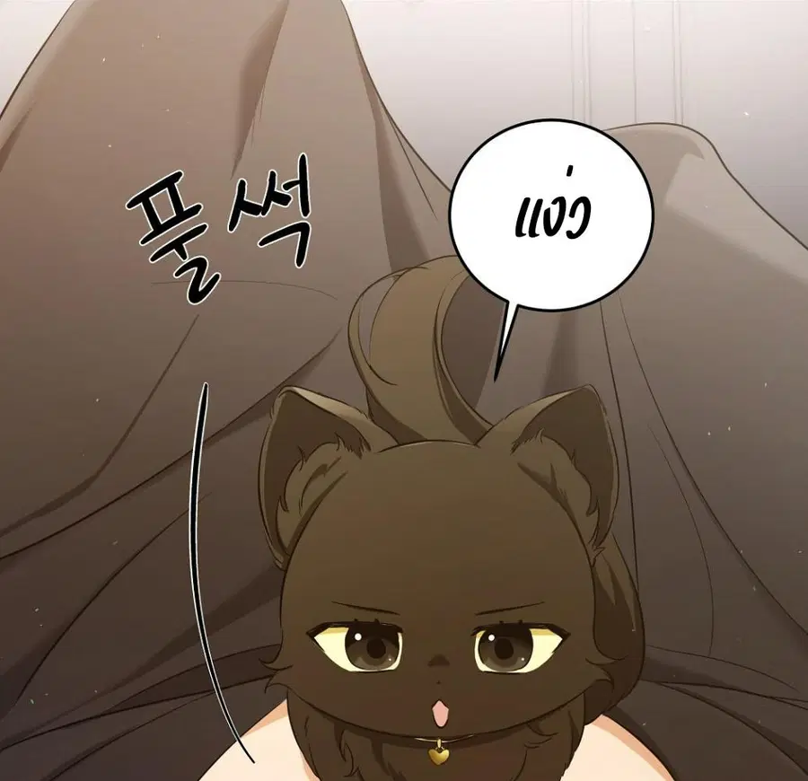 Cat Therapy – ปะปี๊เสพติดเหมียว! ตอนที่ 3 — page 35 of 154
