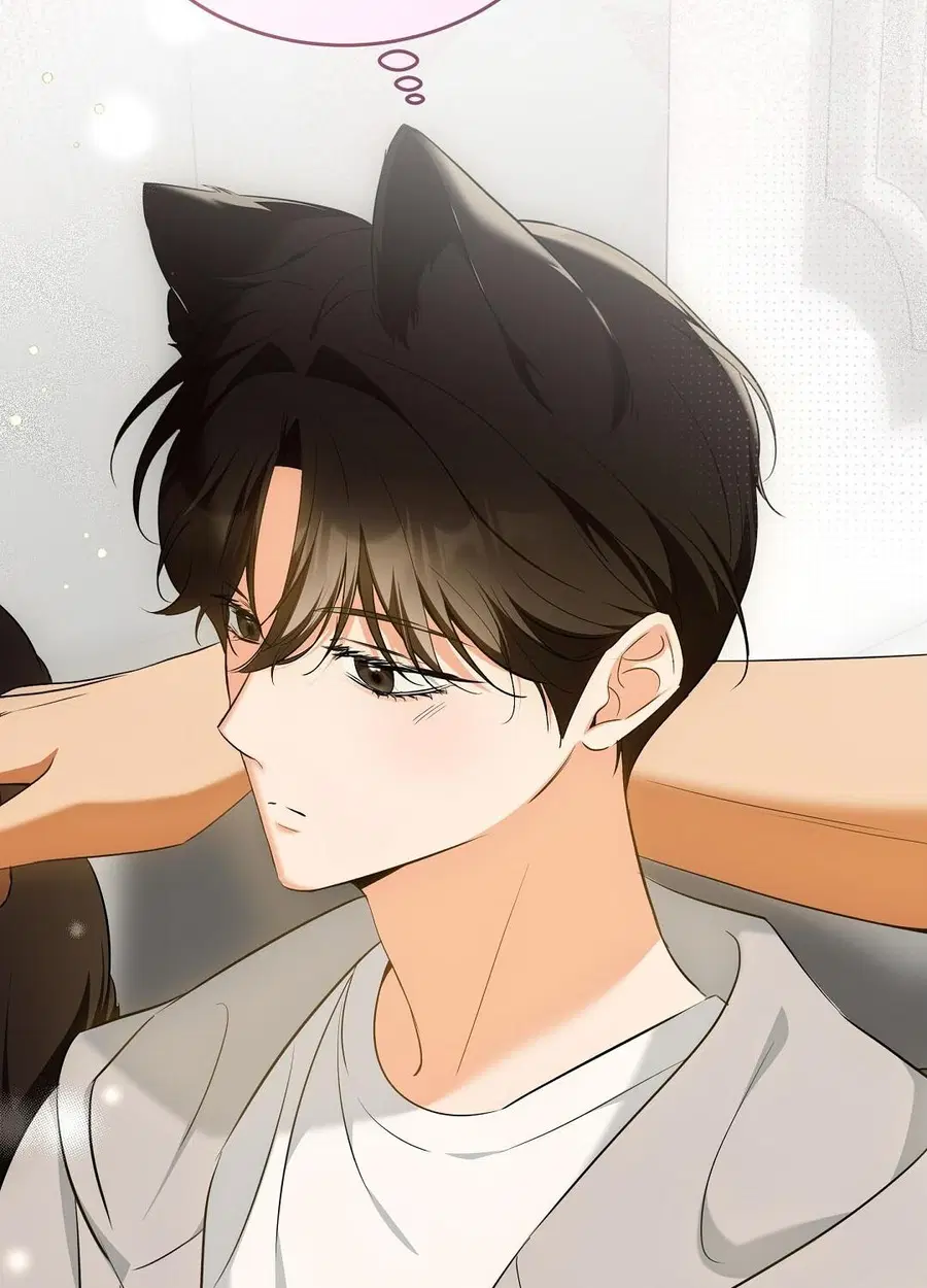 Cat Therapy – ปะปี๊เสพติดเหมียว! ตอนที่ 9 — page 44 of 98