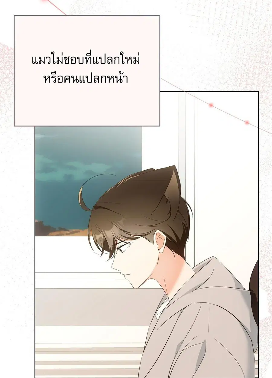 Cat Therapy – ปะปี๊เสพติดเหมียว! ตอนที่ 9 — page 63 of 98